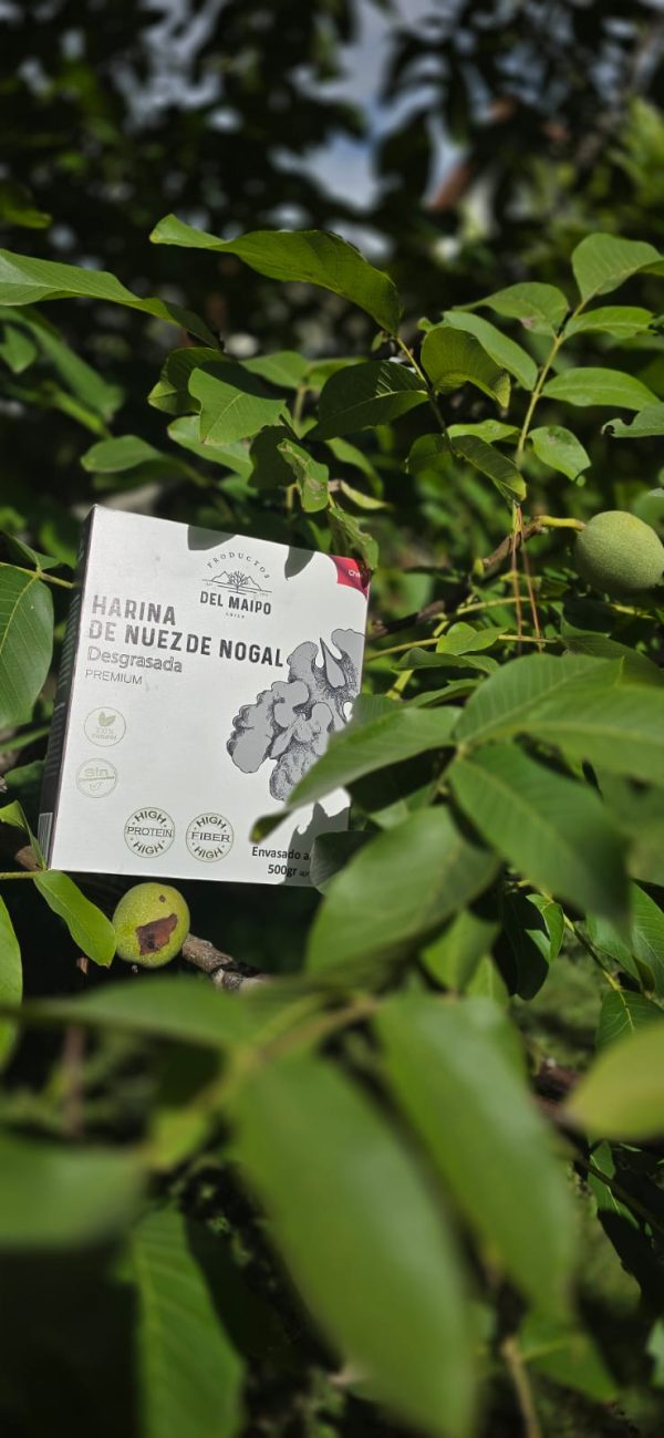 Harina de Nuez de Nogal 500 gr Desgrasada. - Imagen 2